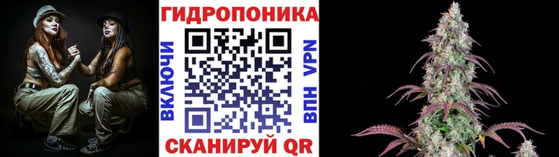Что такое Себеж КОКАИН omg онион МЕФ Героин
