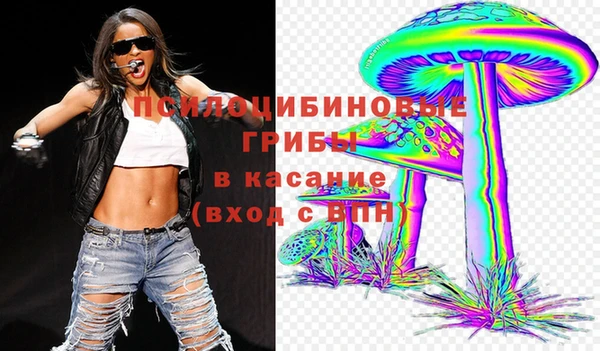 шишки Алексин