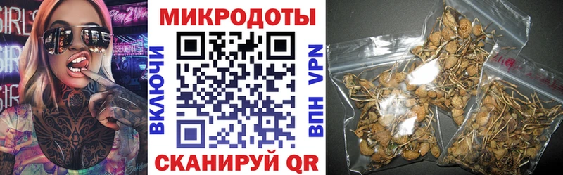 Галлюциногенные грибы Psilocybe  mega ТОР  Себеж 